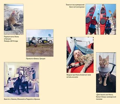 Мир Налы - фото 4