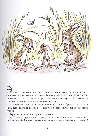 Большой Эдвин - фото 2