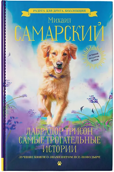 Лабрадор Трисон. Самые трогательные истории - фото 4