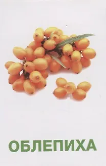 Фрукты и ягоды. Развивающие карточки - фото 2