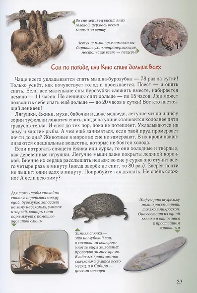 Занимательная биология - фото 8