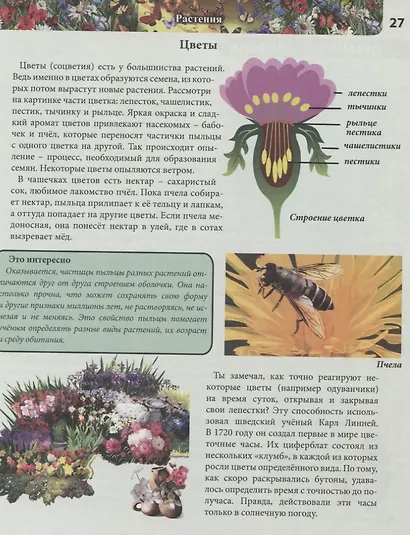 Моя первая энциклопедия - фото 5