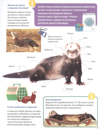 ПЕРВАЯ ДЕТСКАЯ ЭНЦИКЛОПЕДИЯ. ВСЁ О ДОМАШНИХ ПИТОМЦАХ МАЛЫШАМ - фото 5