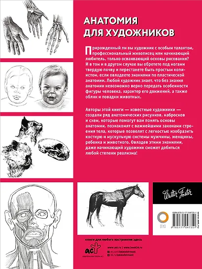 Анатомия для художников - фото 2