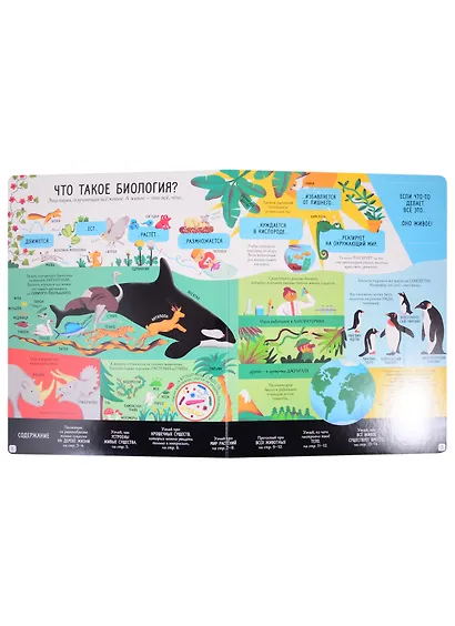Открой тайны. Биология. Более 80 секретных створок - фото 2