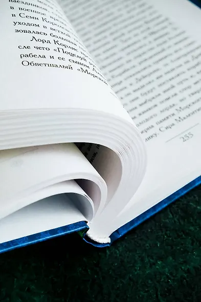 Пламя и кровь: Пляска смерти - фото 10