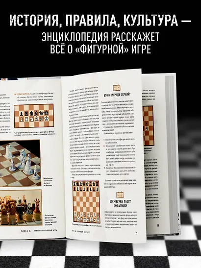 Большая энциклопедия шахмат. Все тайны самой интеллектуальной игры в истории: от древних досок до величайших игроков - фото 5
