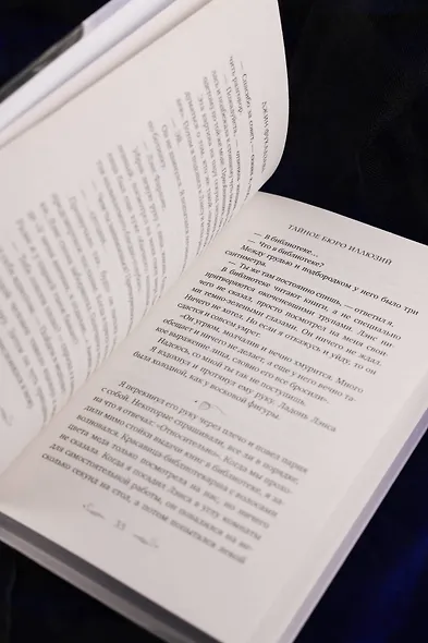 Тайное бюро иллюзий. Фантазм. Книга 1 - фото 12