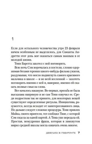 Девушка в лабиринте - фото 12