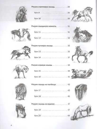 Пошаговые уроки рисования. Рисуем лошадей - фото 3