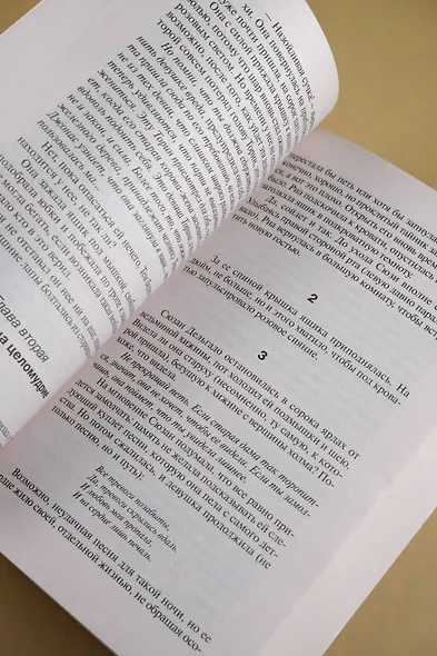 Колдун и кристалл: из цикла "Темная Башня" - фото 9