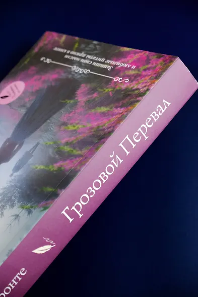 Грозовой перевал - фото 8