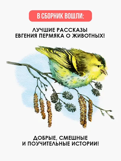 Знакомые следы - фото 5