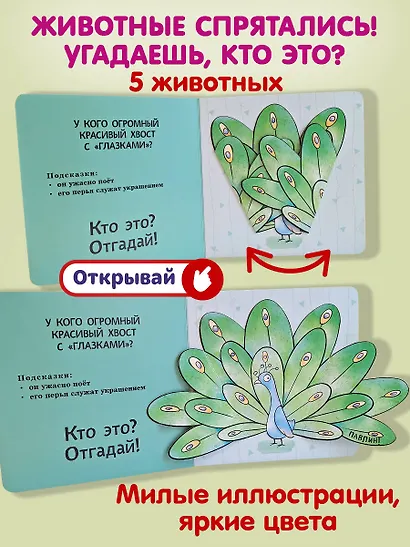 Интерактивные загадки. Кто здесь прячется? (летучая мышь) - фото 5