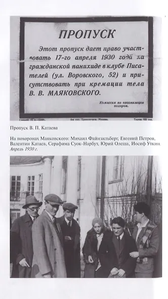 Погоня за вечной весной. - фото 5