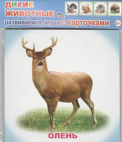 Обучающие карточки. Дикие животные - фото 1