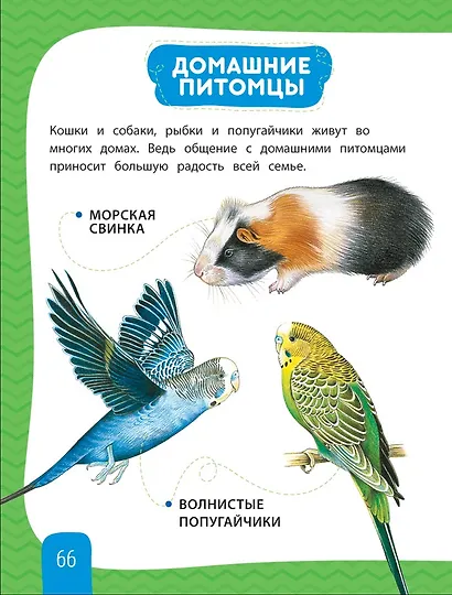 Любимая энциклопедия малыша - фото 4