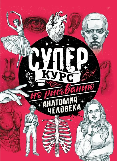 Суперкурс по рисованию. Анатомия человека - фото 1