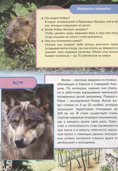 Животные и птицы Европы - фото 3