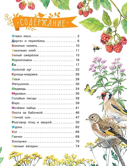 Рассказы о природе - фото 7