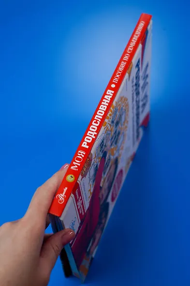 Моя родословная. Пособие по семьеведению - фото 12