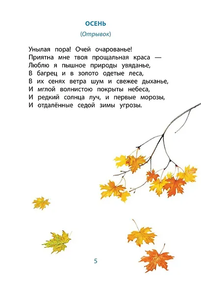 Очей очарованье - фото 6