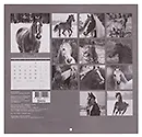 Календарь 2026г 300*290 "Символ года", вид 1 настенный, на скрепке - фото 2