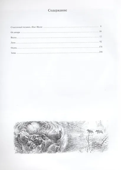 Под пологом русского леса - фото 3