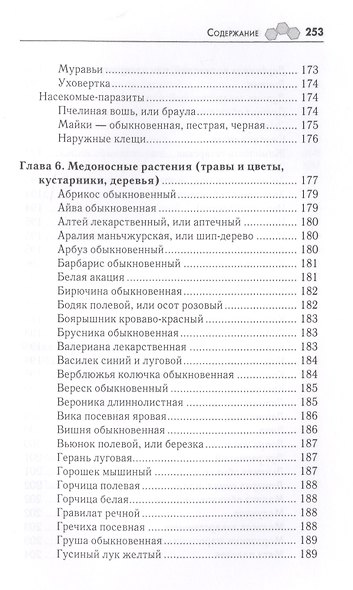 Роскошная пасека на дачном участке - фото 7