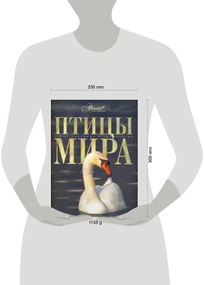 Птицы мира - фото 2