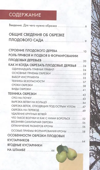 Фит.ПС.Обрезка плодовых деревьев и кустарников (12+) - фото 2