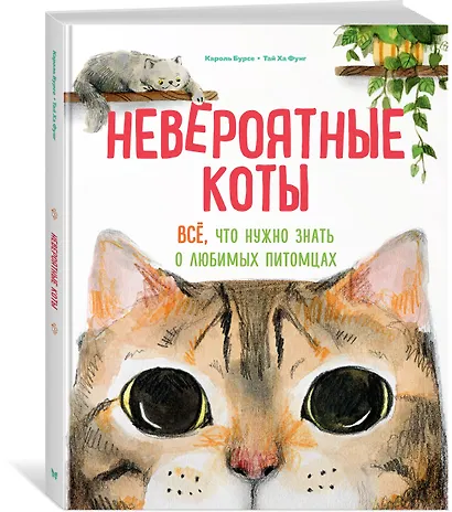 Невероятные коты. Всё, что нужно знать о любимых питомцах - фото 3