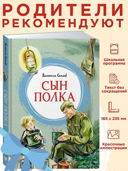 Сын полка - фото 4