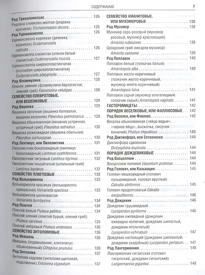 Грибы Полная илл. энциклопедия Более 400 видов грибов... (Куреннов) - фото 9