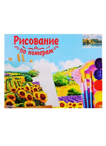 Набор для раскрашивания по номерам ТМ Рыжий Кот Холст Особняк у воды 30х40см Х-9136 - фото 1