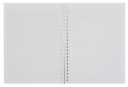 Тетрадь «Dreamland», 80 листов в клетку, листья, спираль - фото 3