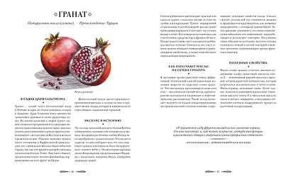 Атлас естественной красоты. Натуральные ингредиенты для ухода за кожей и приумножения вашей красоты - фото 8