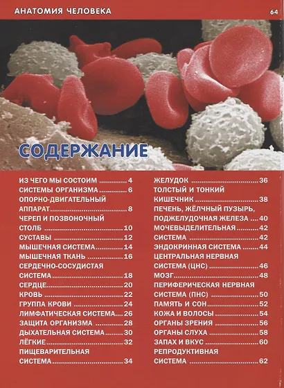 Анатомия человека для детей. Иллюстрированная энциклопедия - фото 2