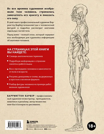 Анатомия для художников. Практический курс - фото 2