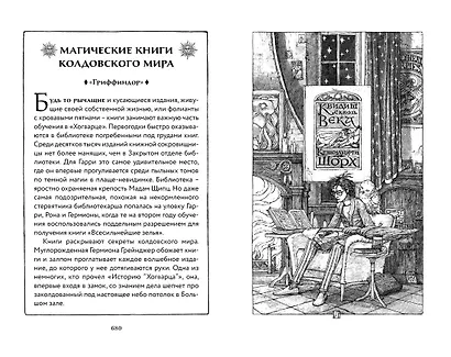 Гарри Поттер и Принц-полукровка (Гриффиндор) - фото 11