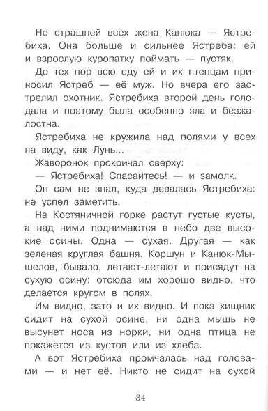 Оранжевое горлышко - фото 5