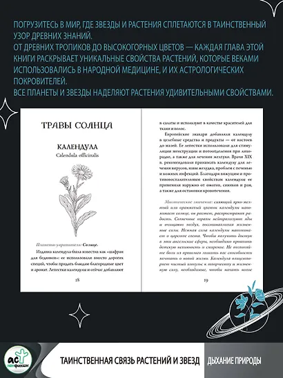 Мудрость земли и космоса. Мистическая связь небес и земли - фото 5