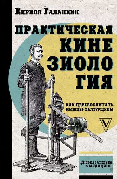 Практическая кинезиология: как перевоспитать мышцы-халтурщицы - фото 1