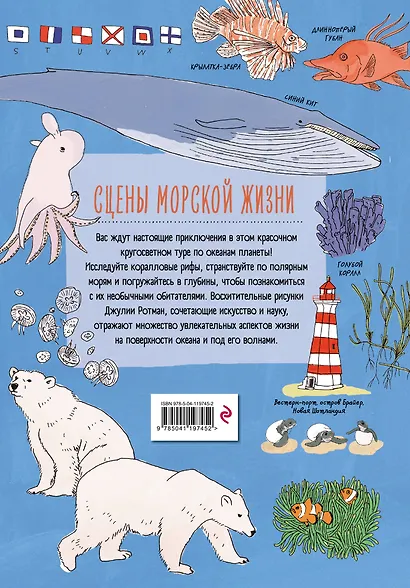 Анатомия океана. Занимательные детали жизни подводного мира - фото 2