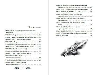 Перси Джексон и Олимпийцы. Похититель молний (#1) (оформление Полины Граф) - фото 14