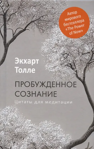 Пробужденное сознание. Цитаты для медитации - фото 1