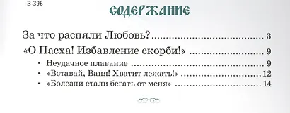 За что распяли Любовь (илл. Иванищевой) (м) - фото 2