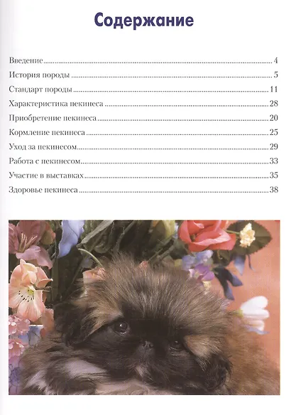 Пекинес Содержание и уход - фото 2