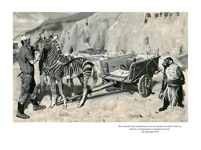 Таинственный остров - фото 15