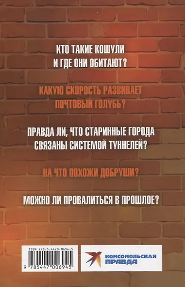 Добруши и кошули. Тайна башни - фото 2